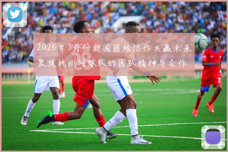2026年3月份新闻团结协作共赢未来聚焦杭州网球队的团队精神与合作之道