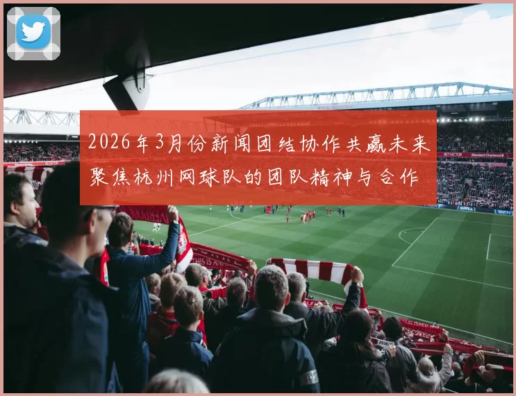 2026年3月份新闻团结协作共赢未来聚焦杭州网球队的团队精神与合作之道